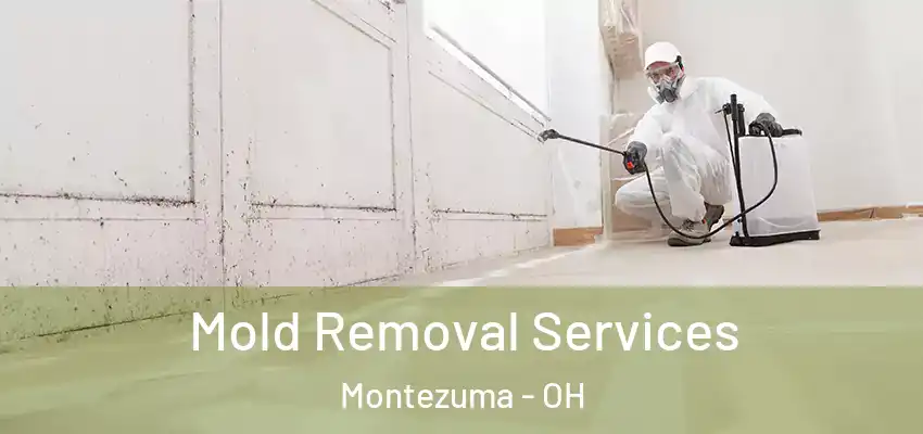 Mold Removal Services Montezuma - OH