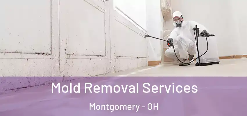 Mold Removal Services Montgomery - OH