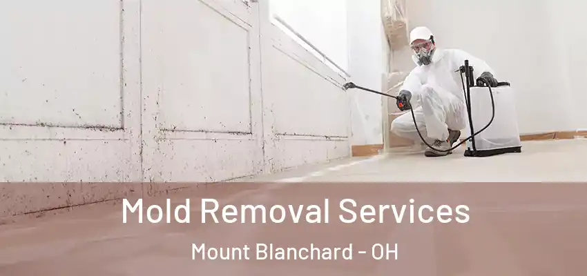  Mold Removal Services Mount Blanchard - OH