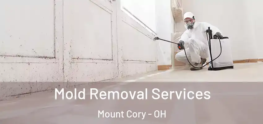 Mold Removal Services Mount Cory - OH