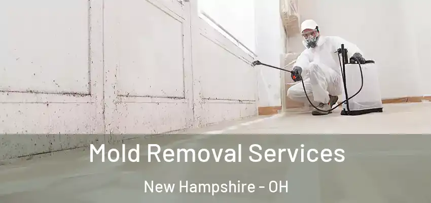 Mold Removal Services New Hampshire - OH