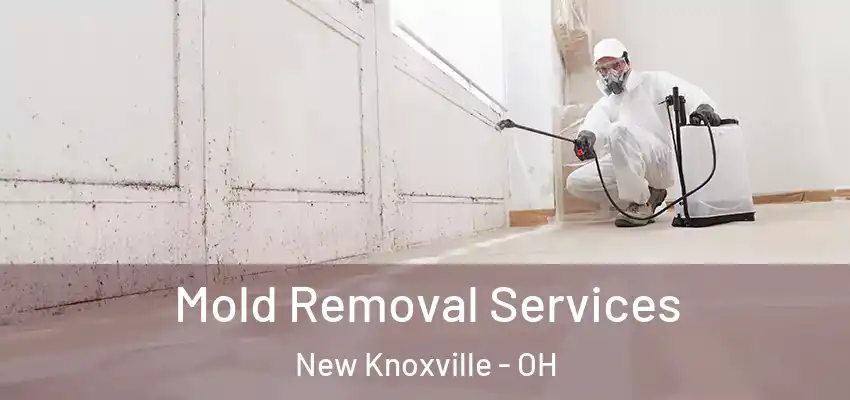  Mold Removal Services New Knoxville - OH