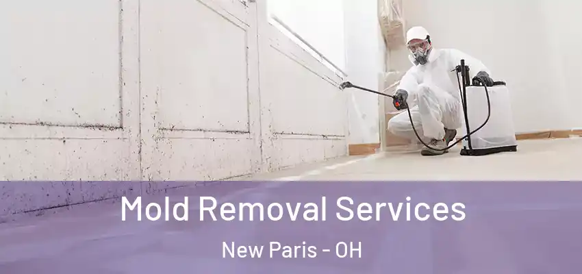  Mold Removal Services New Paris - OH