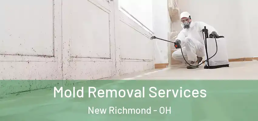 Mold Removal Services New Richmond - OH