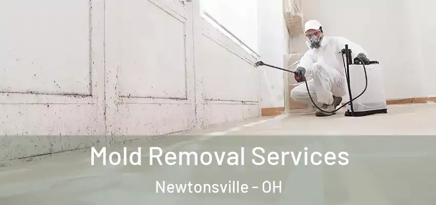  Mold Removal Services Newtonsville - OH
