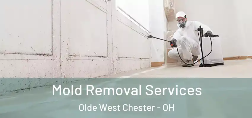 Mold Removal Services Olde West Chester - OH