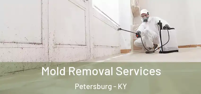  Mold Removal Services Petersburg - KY