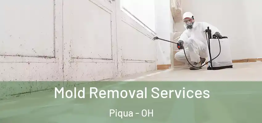 Mold Removal Services Piqua - OH