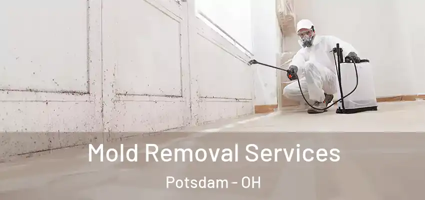 Mold Removal Services Potsdam - OH