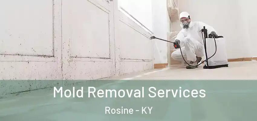 Mold Removal Services Rosine - KY