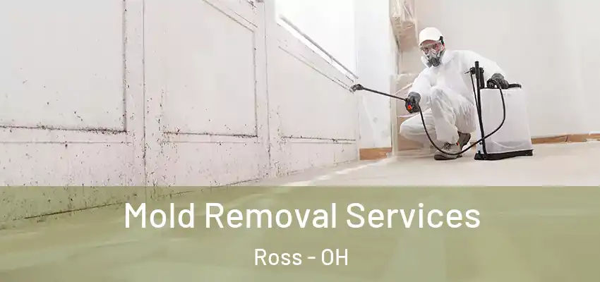Mold Removal Services Ross - OH