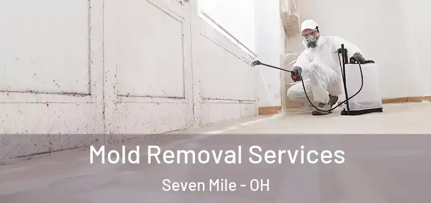Mold Removal Services Seven Mile - OH