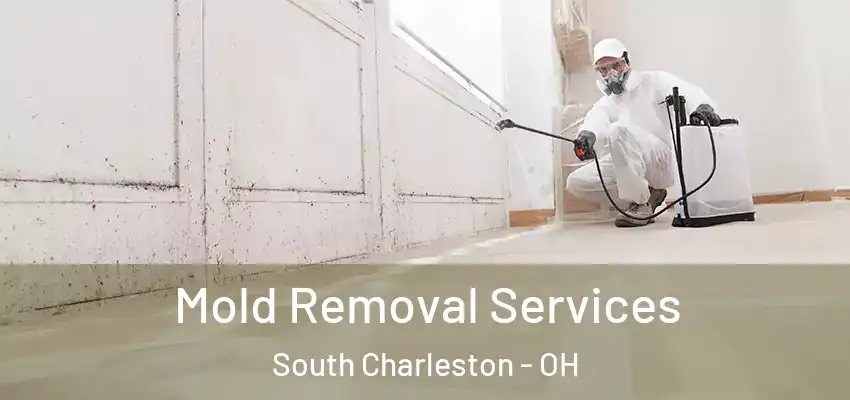 Mold Removal Services South Charleston - OH
