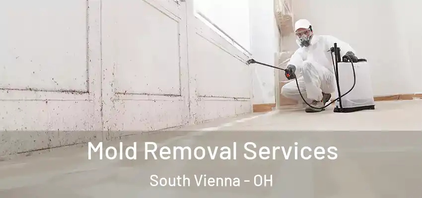  Mold Removal Services South Vienna - OH