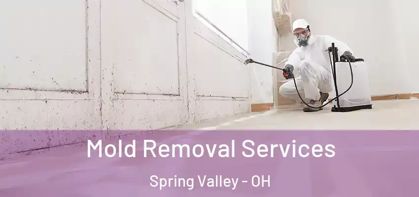 Mold Removal Services Spring Valley - OH