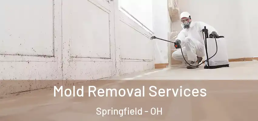 Mold Removal Services Springfield - OH