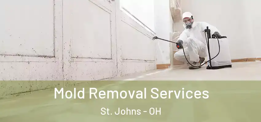  Mold Removal Services St. Johns - OH