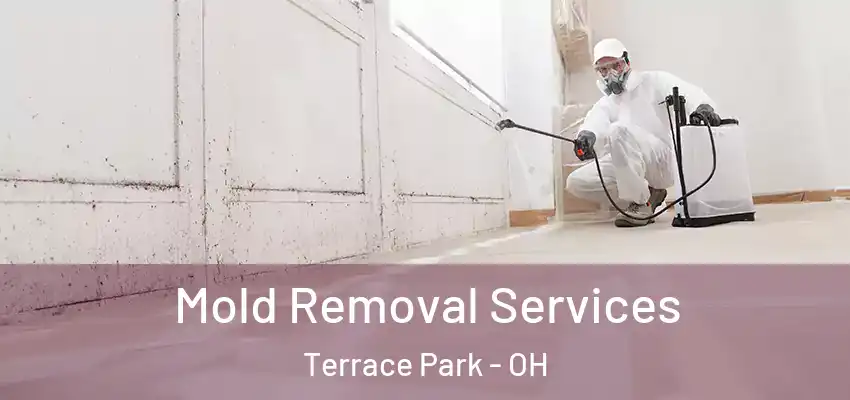  Mold Removal Services Terrace Park - OH
