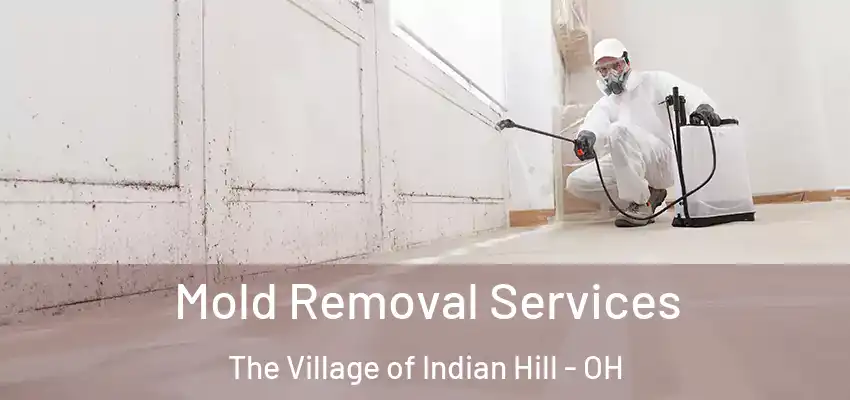 Mold Removal Services The Village of Indian Hill - OH