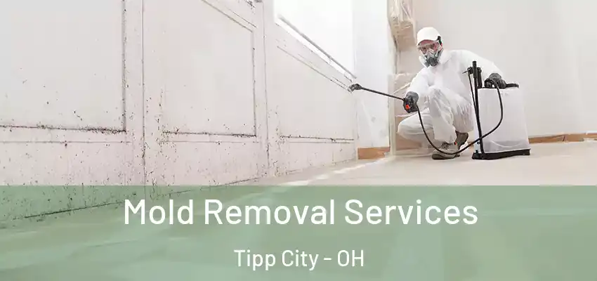 Mold Removal Services Tipp City - OH
