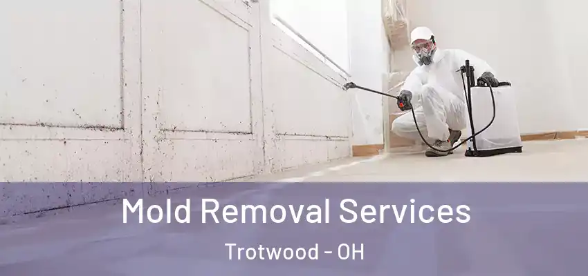 Mold Removal Services Trotwood - OH