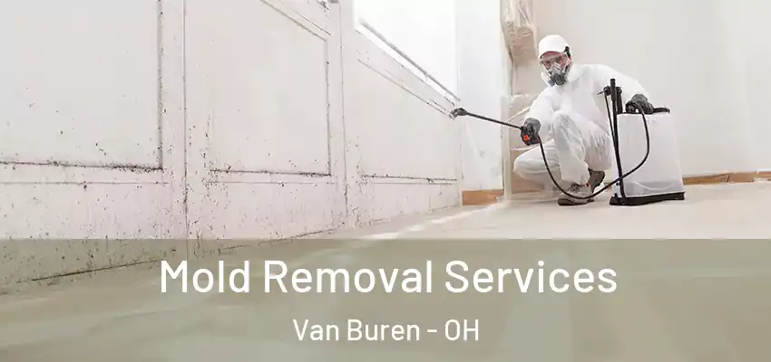 Mold Removal Services Van Buren - OH