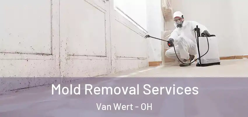  Mold Removal Services Van Wert - OH
