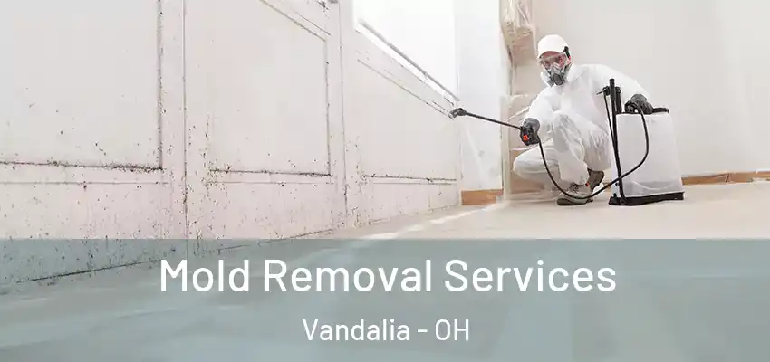 Mold Removal Services Vandalia - OH