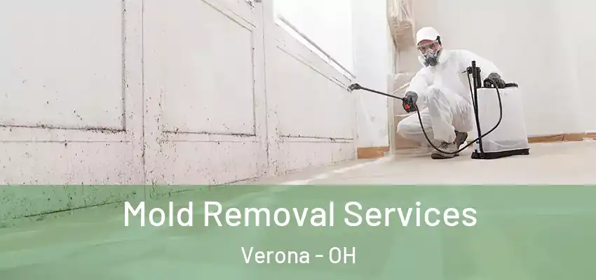 Mold Removal Services Verona - OH