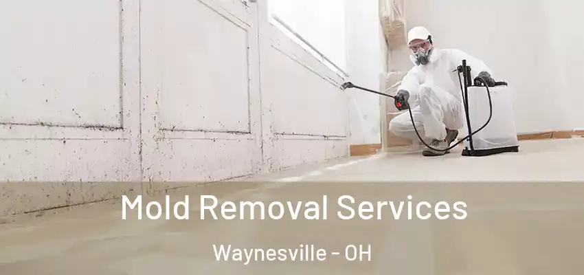Mold Removal Services Waynesville - OH
