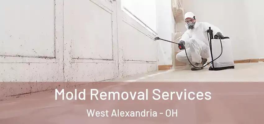  Mold Removal Services West Alexandria - OH