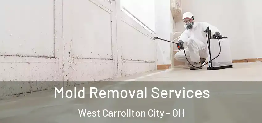  Mold Removal Services West Carrollton City - OH