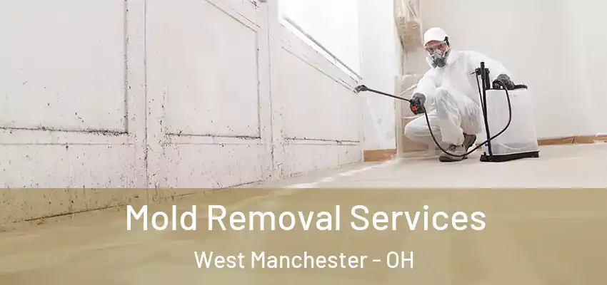  Mold Removal Services West Manchester - OH