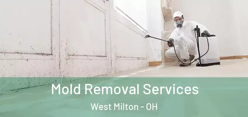 Mold Removal Services West Milton - OH