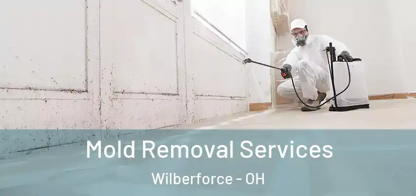 Mold Removal Services Wilberforce - OH