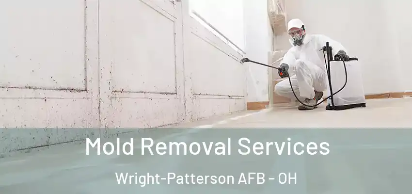  Mold Removal Services Wright-Patterson AFB - OH