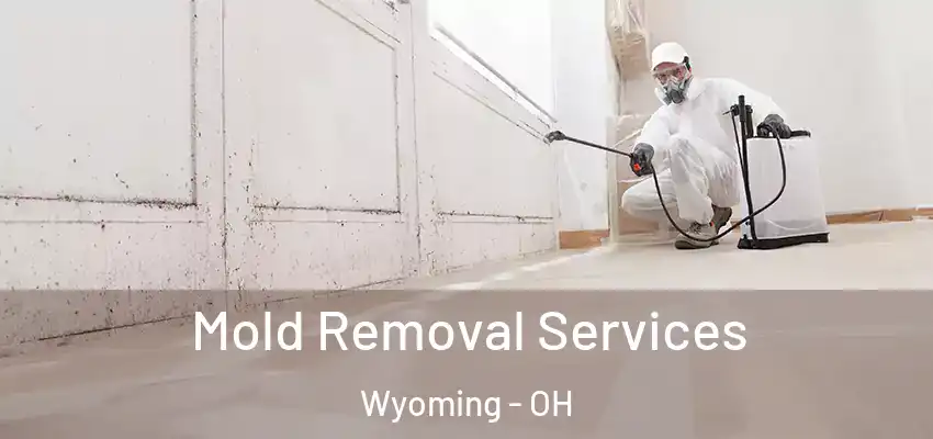 Mold Removal Services Wyoming - OH