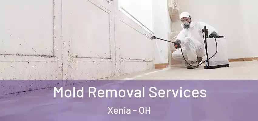Mold Removal Services Xenia - OH