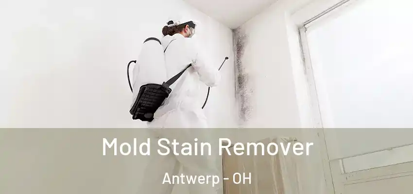 Mold Stain Remover Antwerp - OH