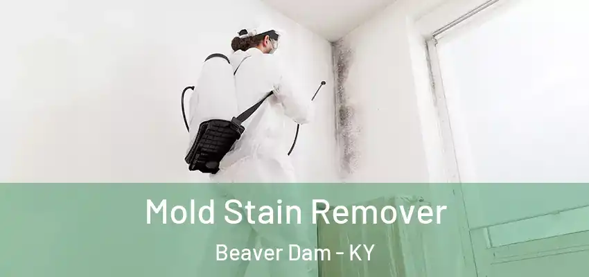 Mold Stain Remover Beaver Dam - KY