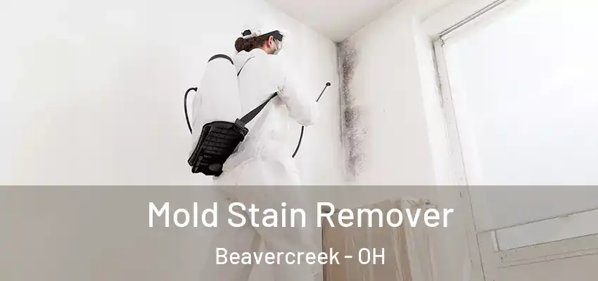 Mold Stain Remover Beavercreek - OH