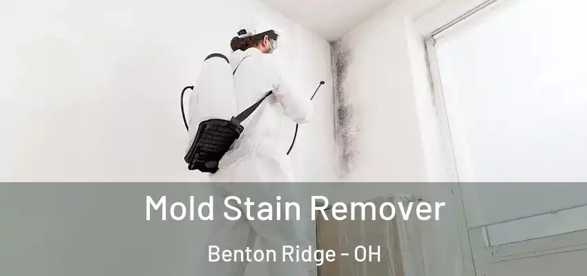 Mold Stain Remover Benton Ridge - OH
