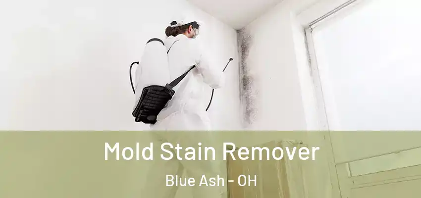Mold Stain Remover Blue Ash - OH