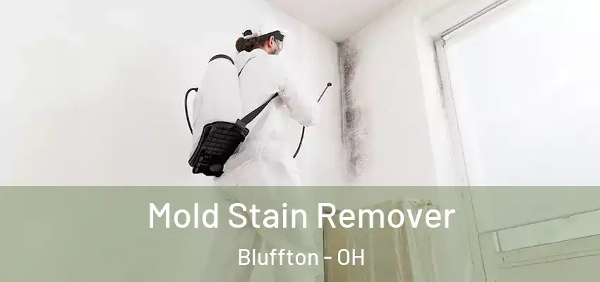 Mold Stain Remover Bluffton - OH