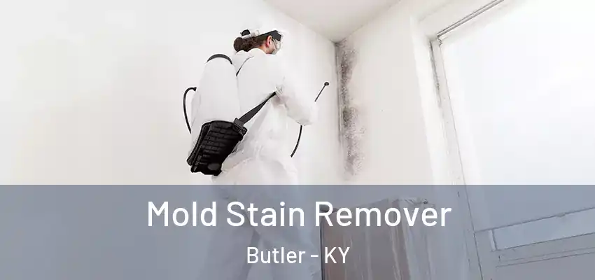 Mold Stain Remover Butler - KY