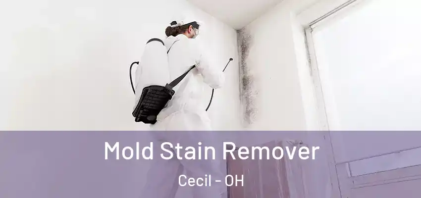  Mold Stain Remover Cecil - OH