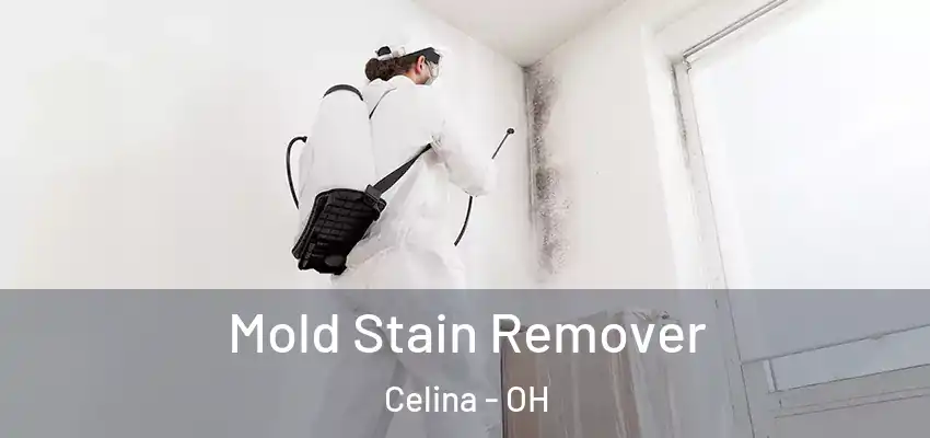  Mold Stain Remover Celina - OH