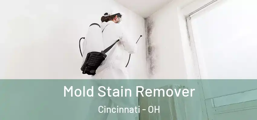  Mold Stain Remover Cincinnati - OH