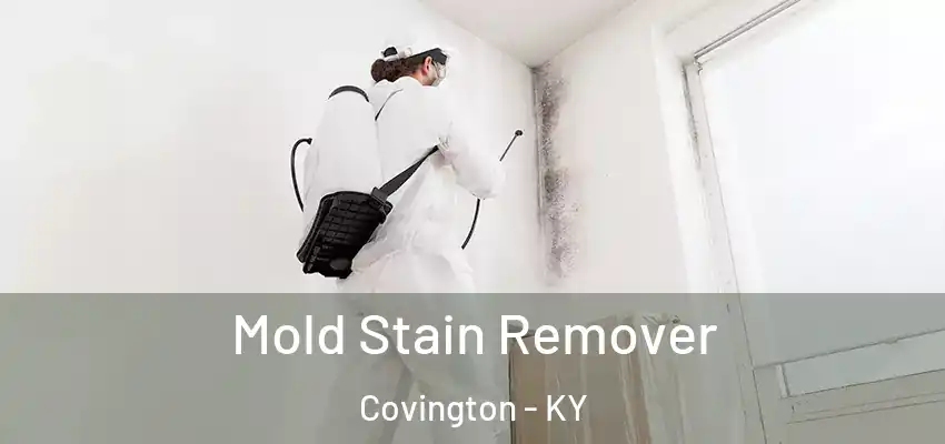  Mold Stain Remover Covington - KY