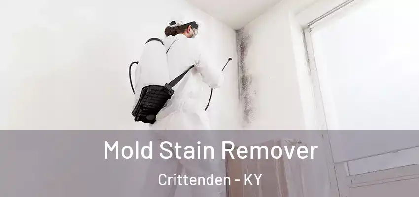 Mold Stain Remover Crittenden - KY